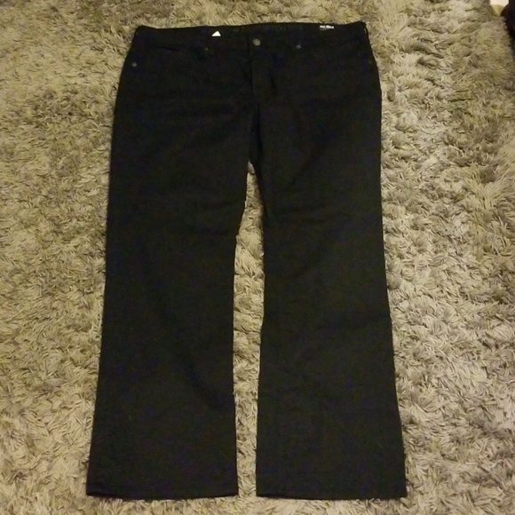 buffalo david bitton 1972